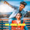 About Dil Jana jigar ( Ho Song ) Song
